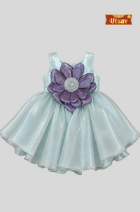 Aqua Orchid - Aqua Mint