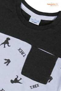 Boys Cotton T-Shirt – Grey White Dino Print Color Block Tee