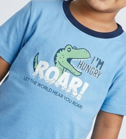 Boys Blue Dinosaur Roar Graphic Cotton T-Shirt