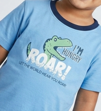 Boys Blue Dinosaur Roar Graphic Cotton T-Shirt